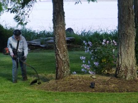 Yard care